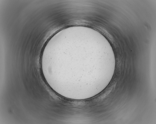 X0000110870893200907301411