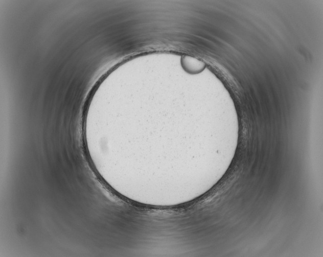 X0000110870894200907301411