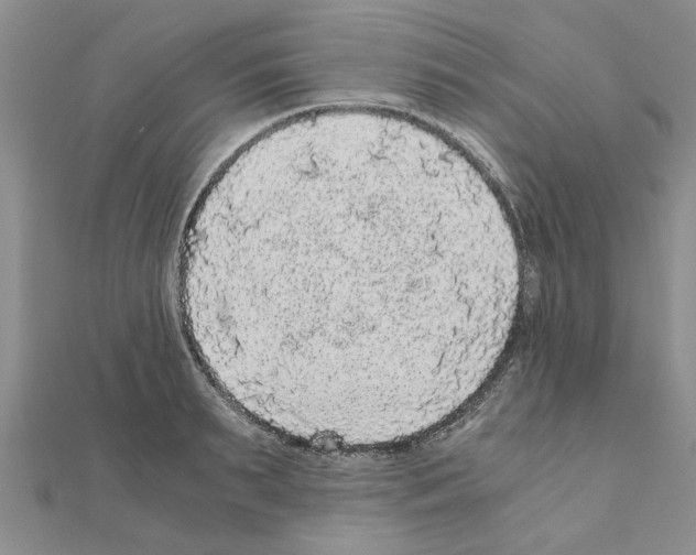 X0000110870895200907301411