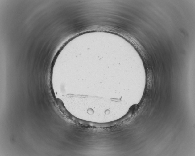 X0000110870896200907301411