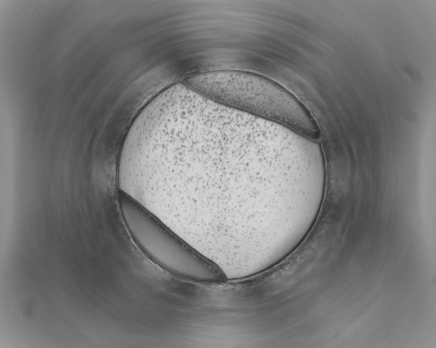 X0000110870897200907301411