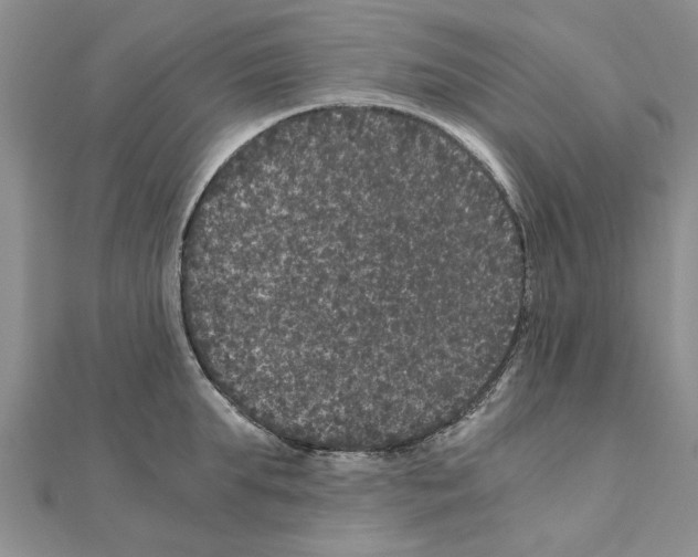 X0000110870903200907301411