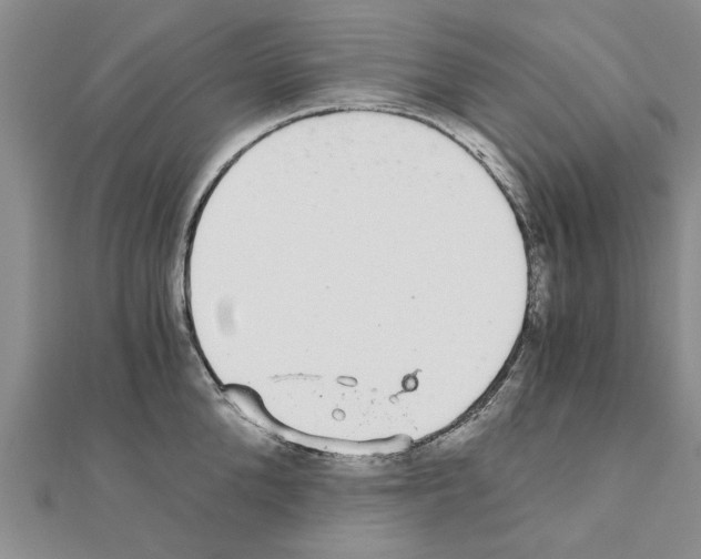 X0000110870904200907301411