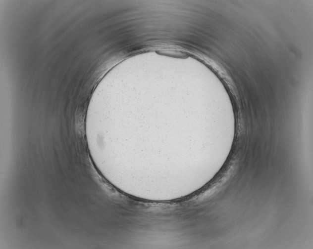 X0000110870905200907301411