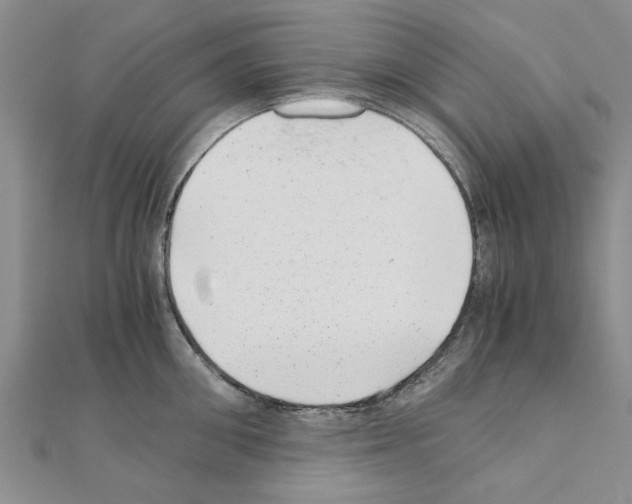 X0000110870906200907301411