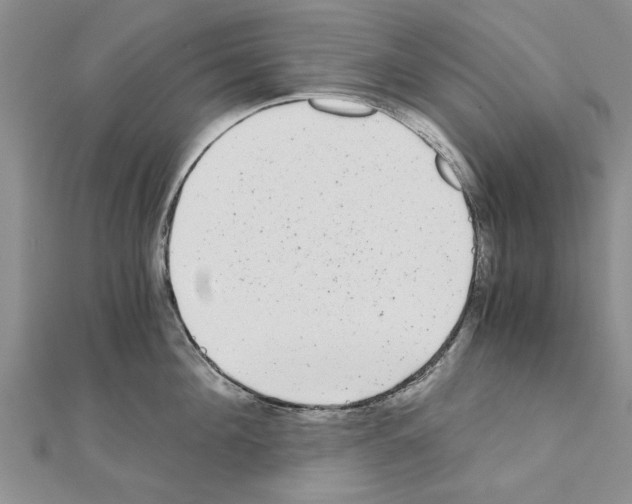 X0000110870908200907301411