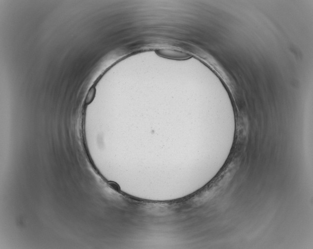 X0000110870909200907301411