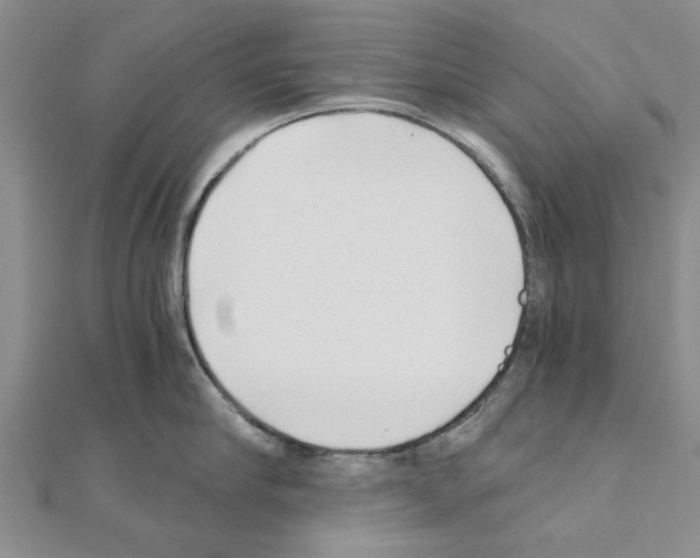 X0000110870910200907301410