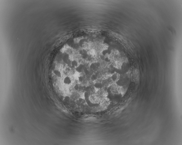 X0000110870913200907301410