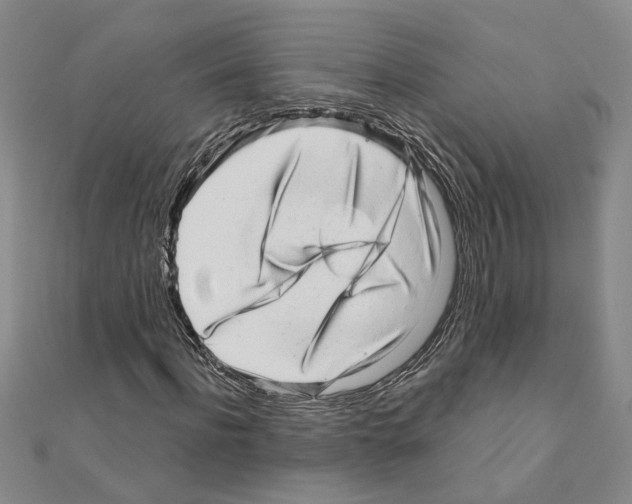 X0000110870916200907301410