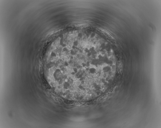 X0000110870917200907301410