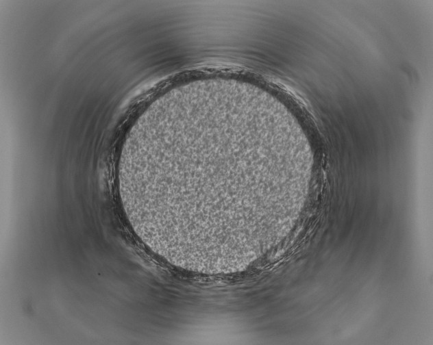 X0000110870920200907301410