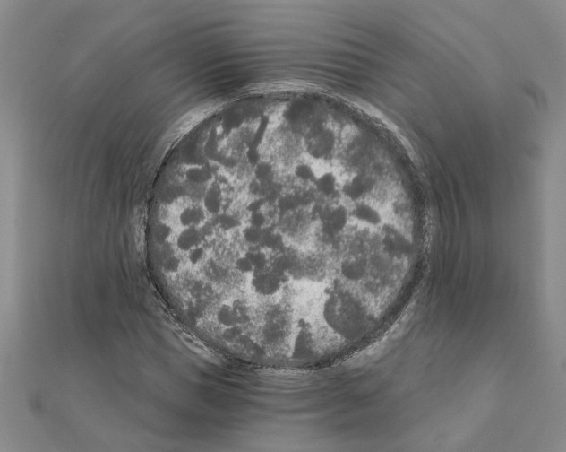 X0000110870921200907301410