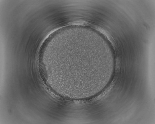 X0000110870923200907301410