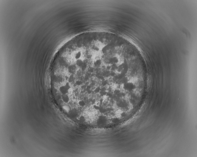 X0000110870925200907301410