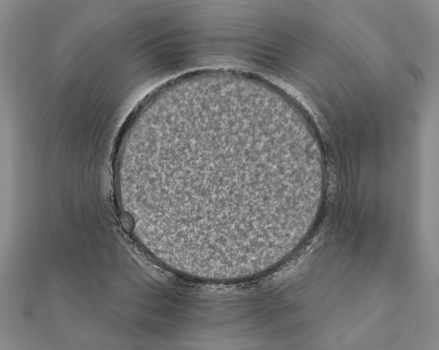 X0000110870927200907301410