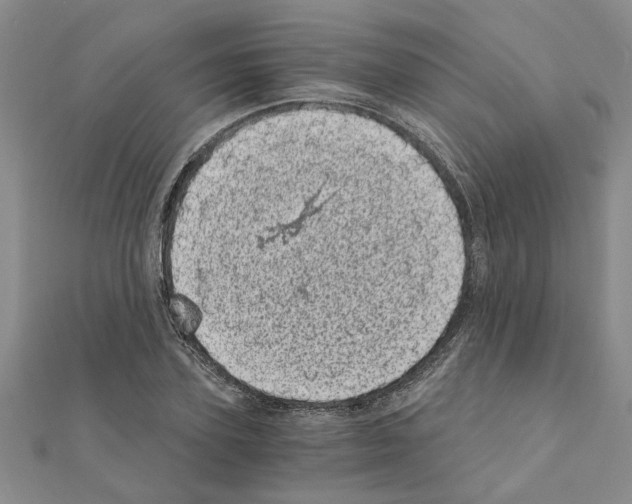 X0000110870931200907301410