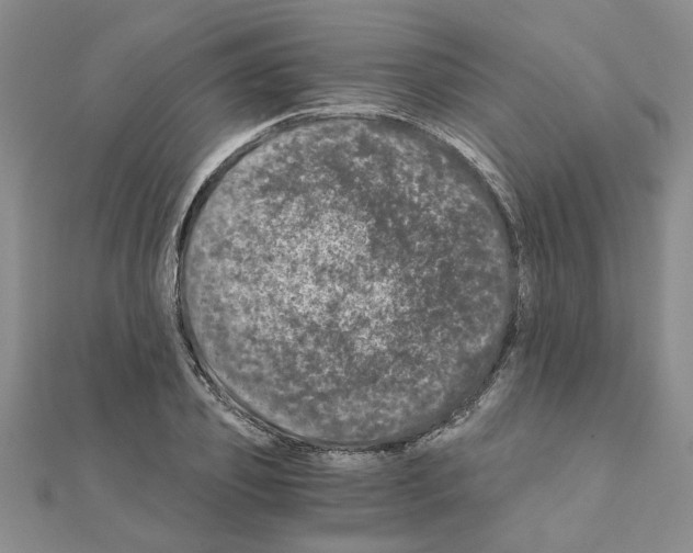 X0000110870933200907301410