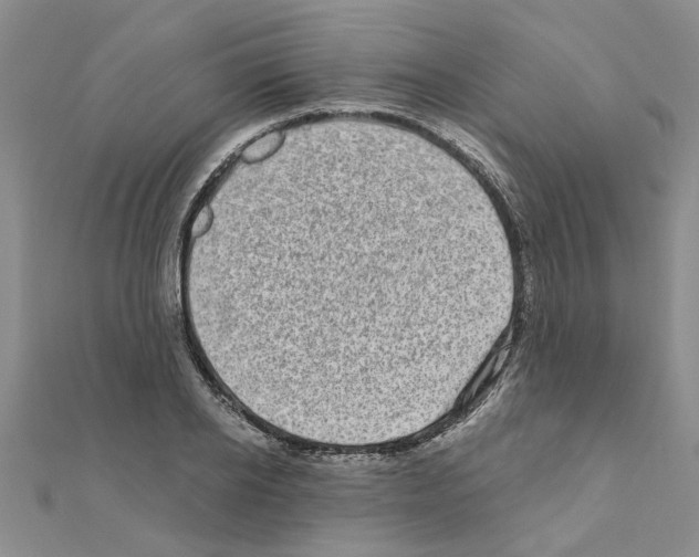 X0000110870934200907301410