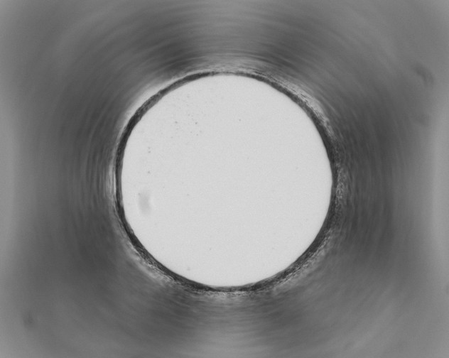 X0000110870936200907301410