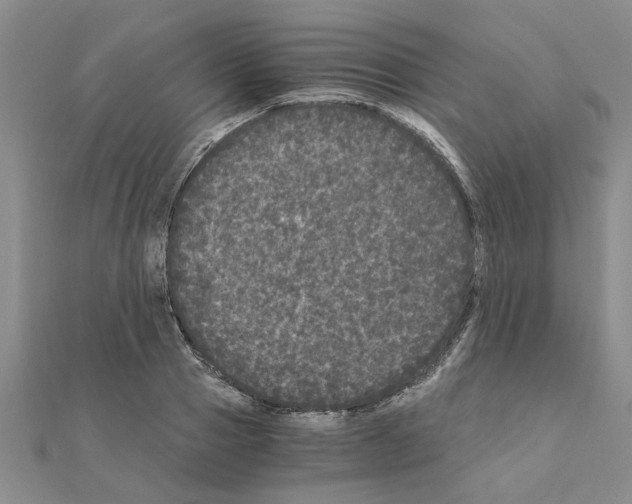 X0000110870937200907301410