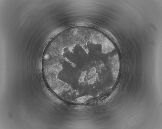 X0000110870938200907301410