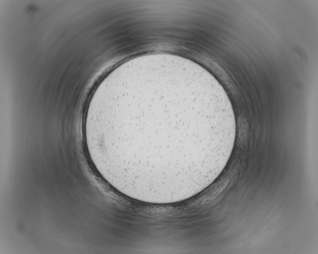 X0000110870939200907301410