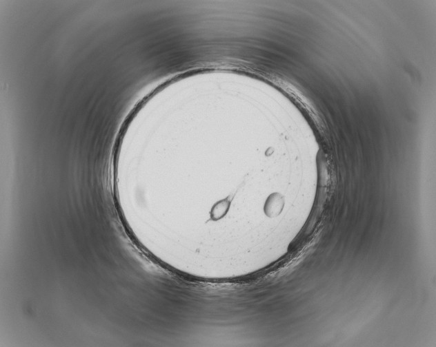 X0000110870940200907301410