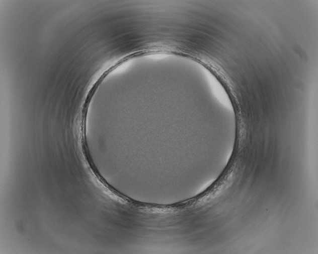 X0000110870941200907301410