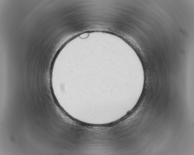 X0000110870942200907301410