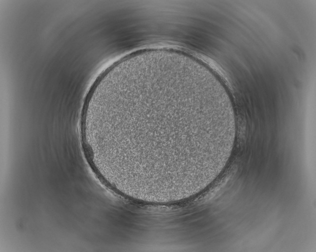 X0000110870943200907301410