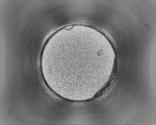 X0000110870944200907301410