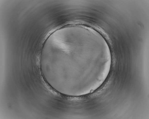 X0000110870945200907301410