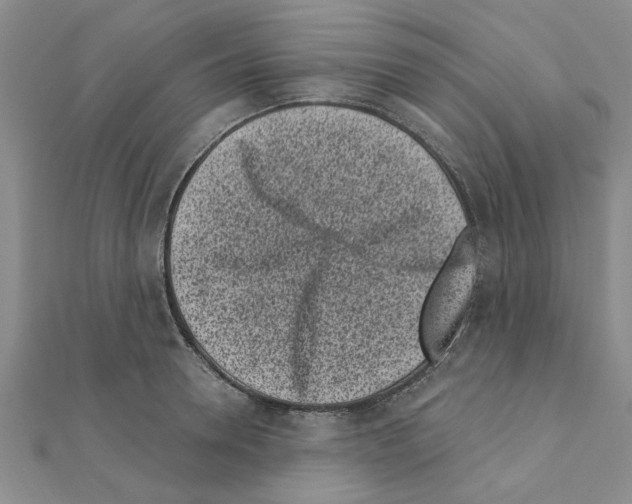 X0000110870946200907301410