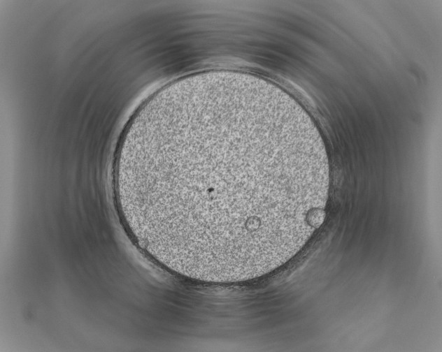 X0000110870947200907301410