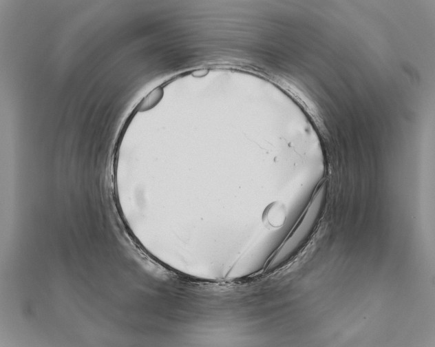 X0000110870948200907301410