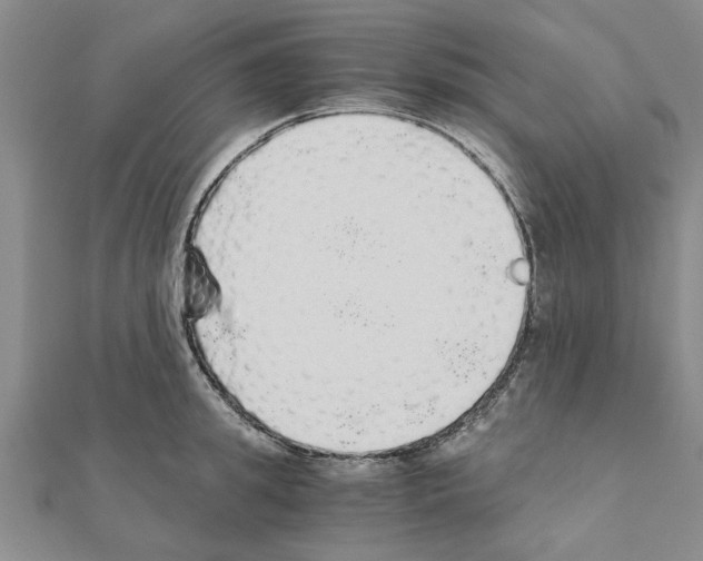 X0000110870949200907301410