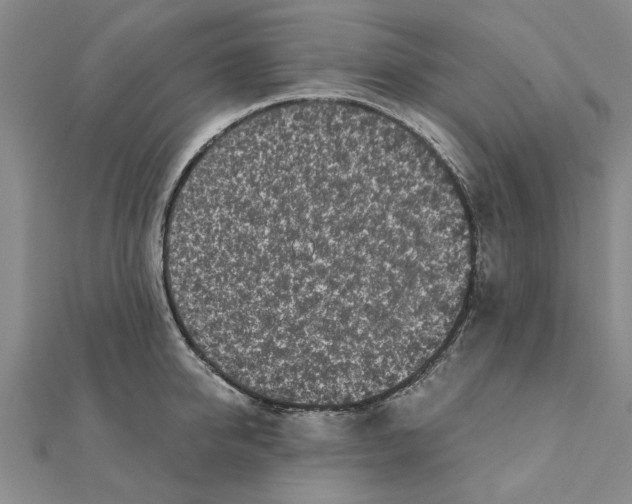 X0000110870950200907301410