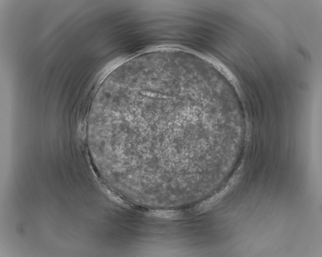 X0000110870953200907301410