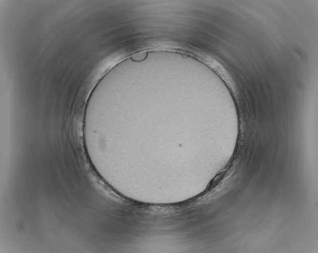 X0000110870954200907301410