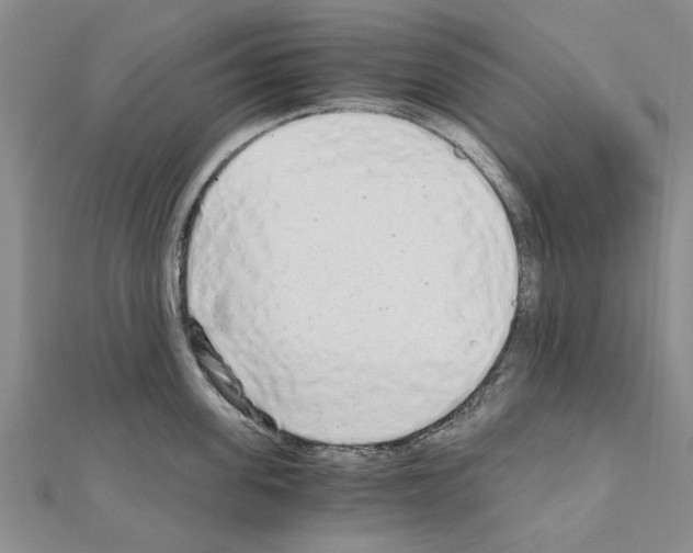 X0000110870955200907301410