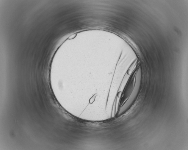 X0000110870956200907301410