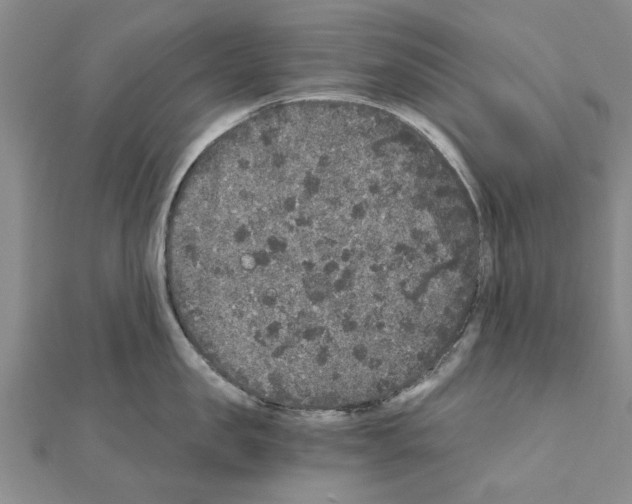 X0000110870957200907301410