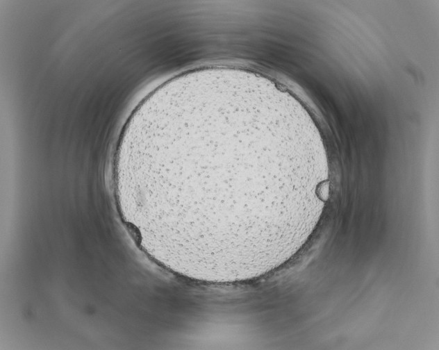 X0000110870959200907301410