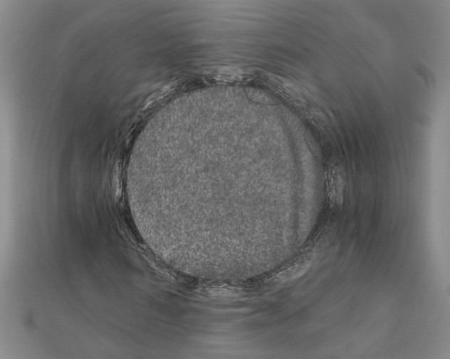 X0000110870962200907301410