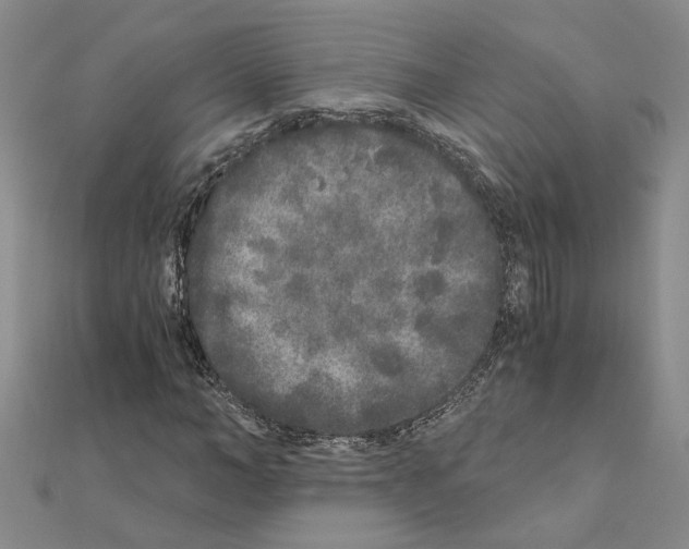 X0000110870966200907301410