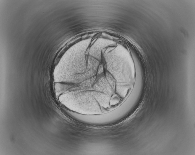 X0000110870969200907301410