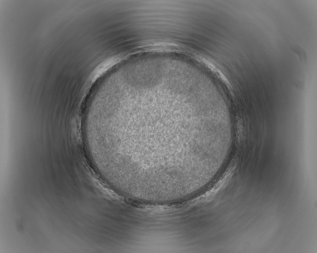 X0000110870970200907301410