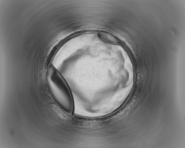 X0000110870973200907301410