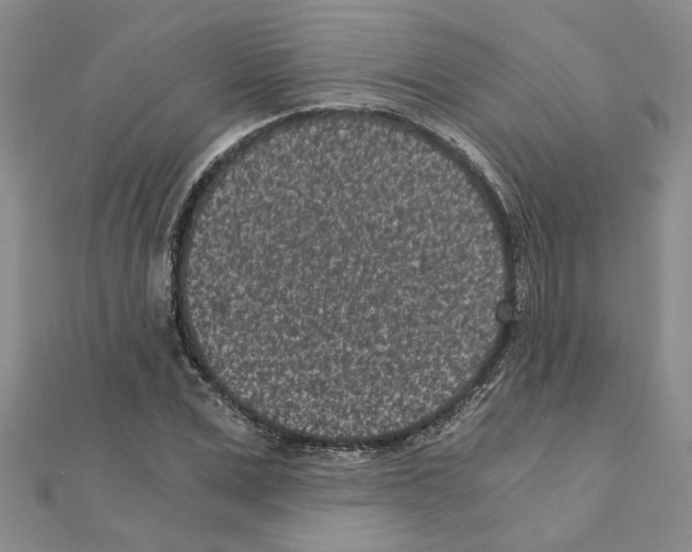 X0000110870975200907301410